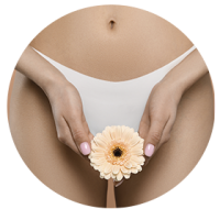Option 2 Aesthetic Gyne-2